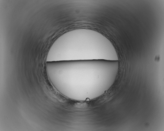 X0000115730271200911121132
