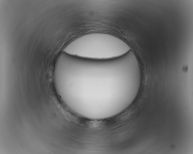 X0000115730273200911121132