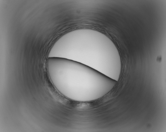 X0000115730274200911121132