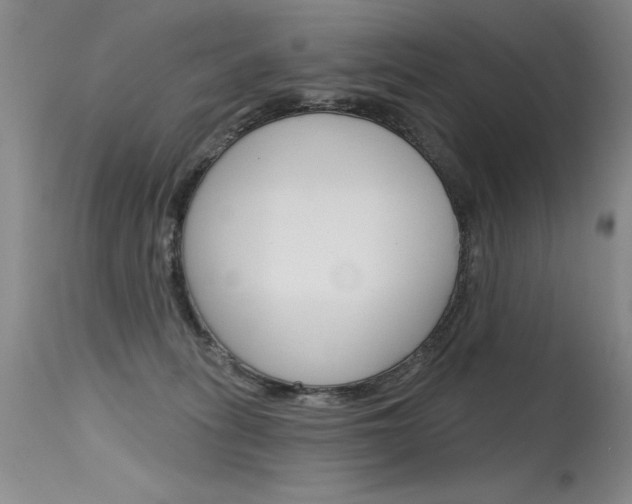 X0000115730275200911121132