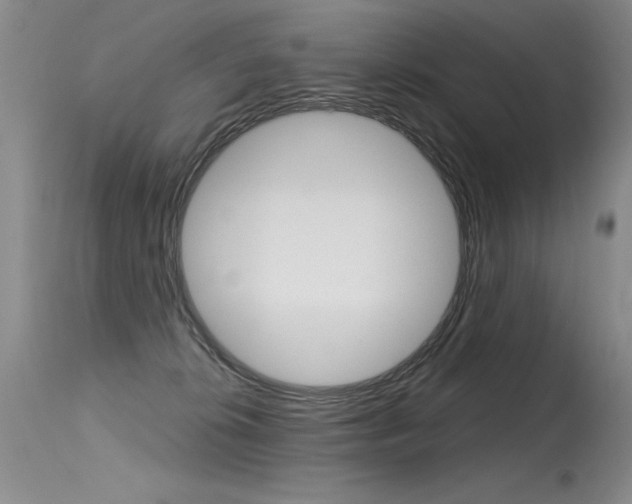 X0000115730276200911121132