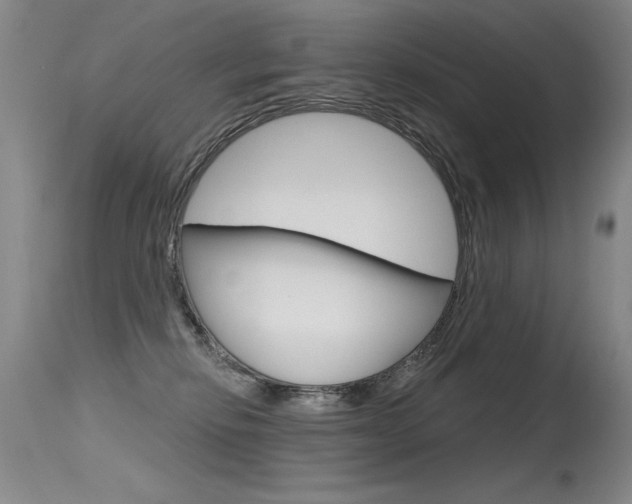 X0000115730278200911121132