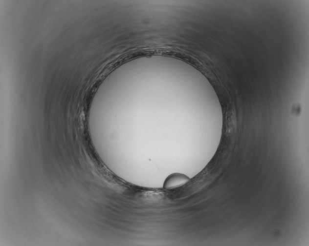 X0000115730279200911121132