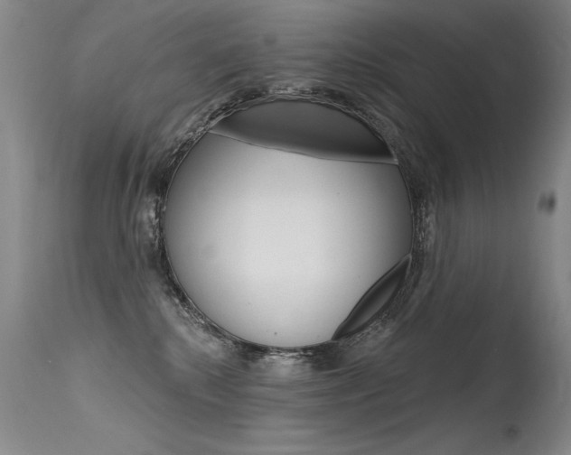 X0000115730280200911121132