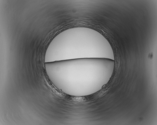 X0000115730281200911121132