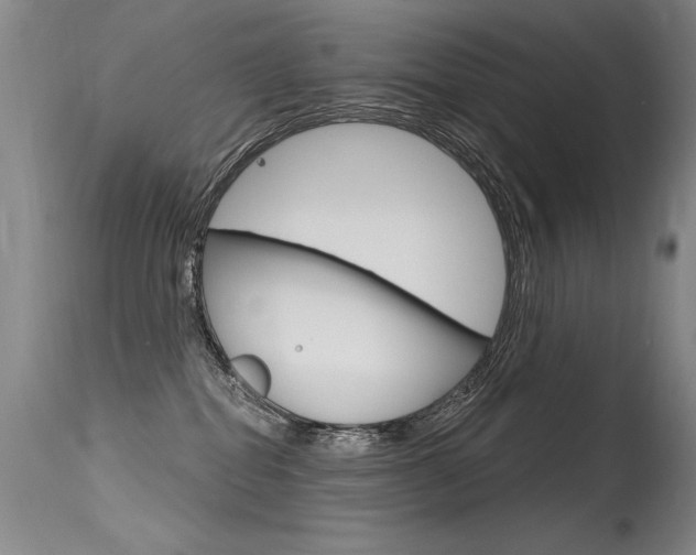 X0000115730282200911121132