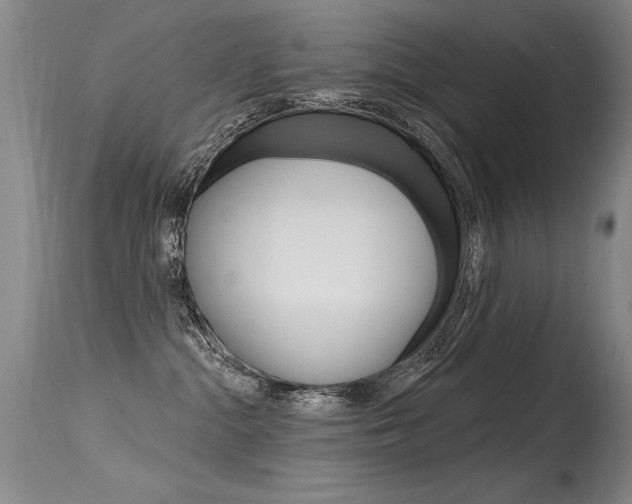 X0000115730284200911121132