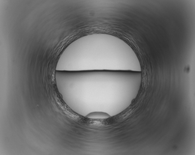 X0000115730285200911121132