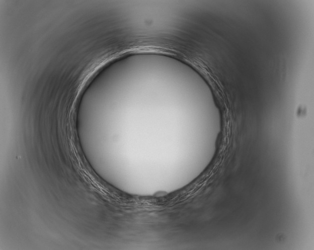 X0000115730289200911121132