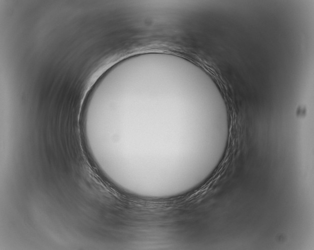X0000115730292200911121131