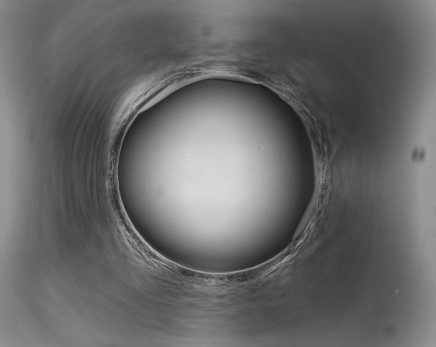 X0000115730293200911121131