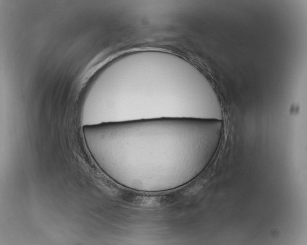 X0000115730295200911121131