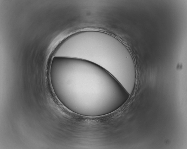 X0000115730296200911121131