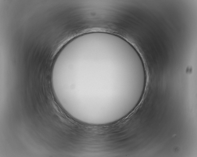 X0000115730297200911121131