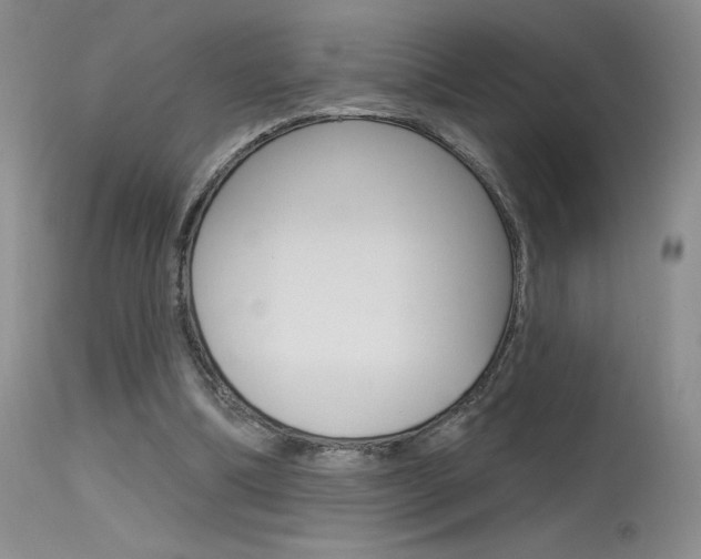 X0000115730298200911121131