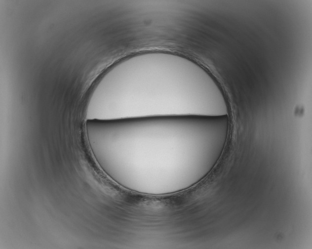 X0000115730299200911121131