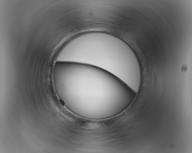 X0000115730300200911121131