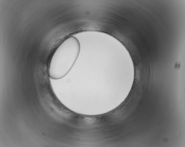 X0000115730302200911121131