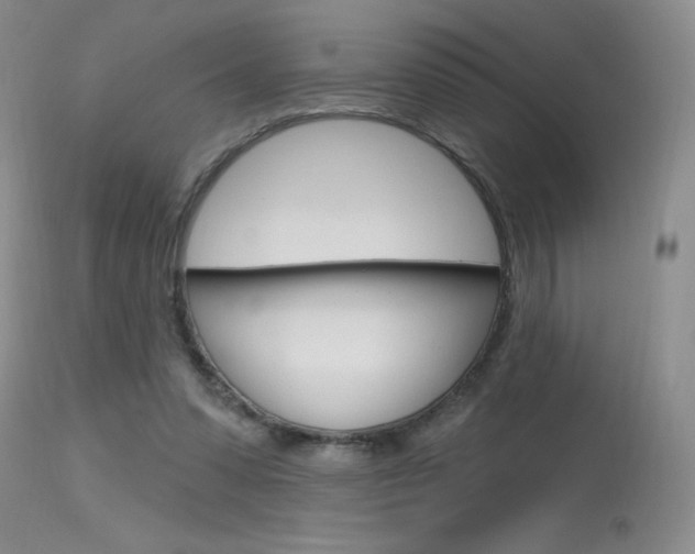 X0000115730303200911121131
