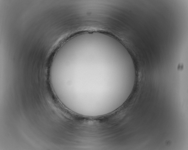 X0000115730304200911121131