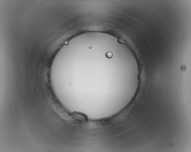 X0000115730305200911121131