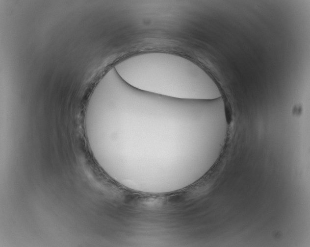 X0000115730306200911121131
