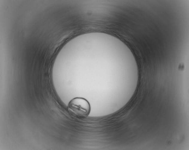 X0000115730308200911121131