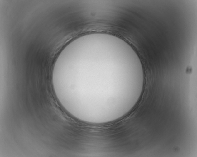 X0000115730309200911121131