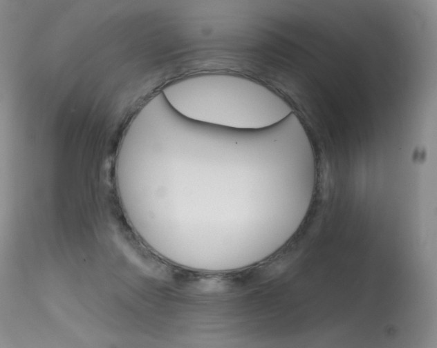 X0000115730310200911121131