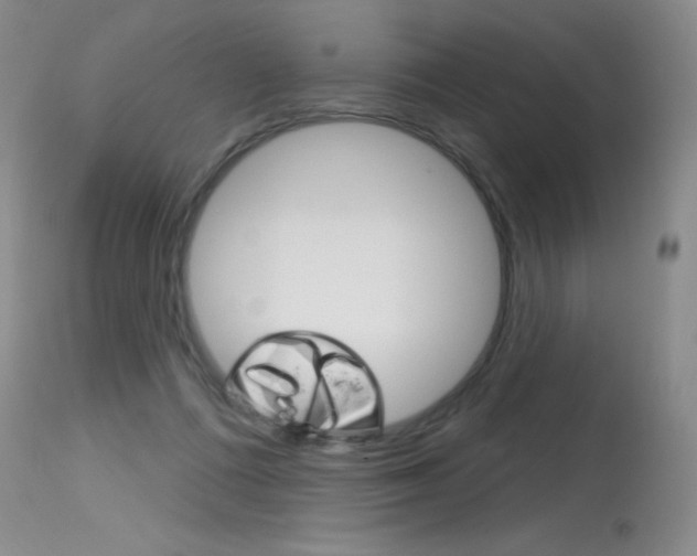 X0000115730312200911121131