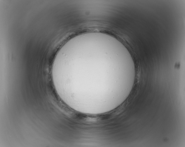 X0000115730314200911121131