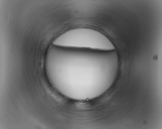 X0000115730315200911121131