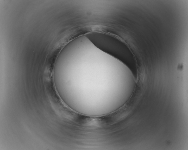 X0000115730316200911121131