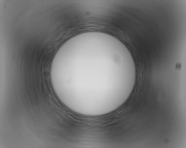 X0000115730317200911121131