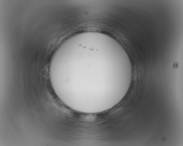 X0000115730318200911121131