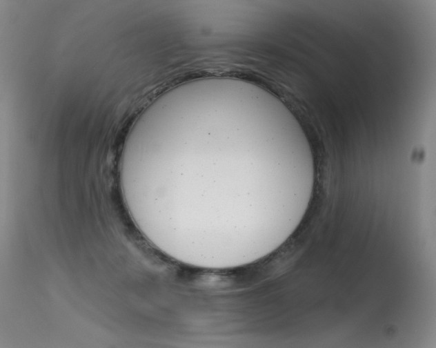 X0000115730319200911121131