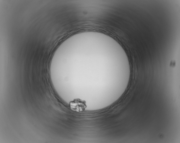 X0000115730320200911121131