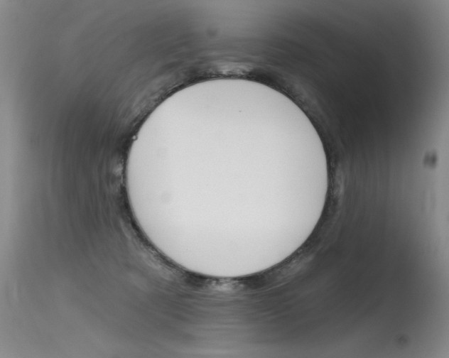 X0000115730321200911121131