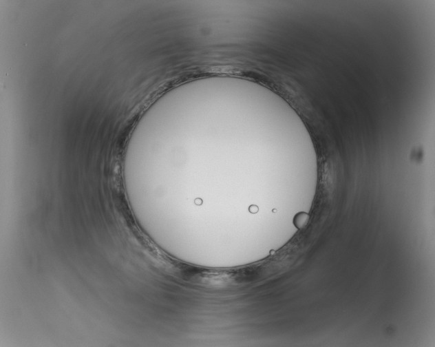 X0000115730322200911121131