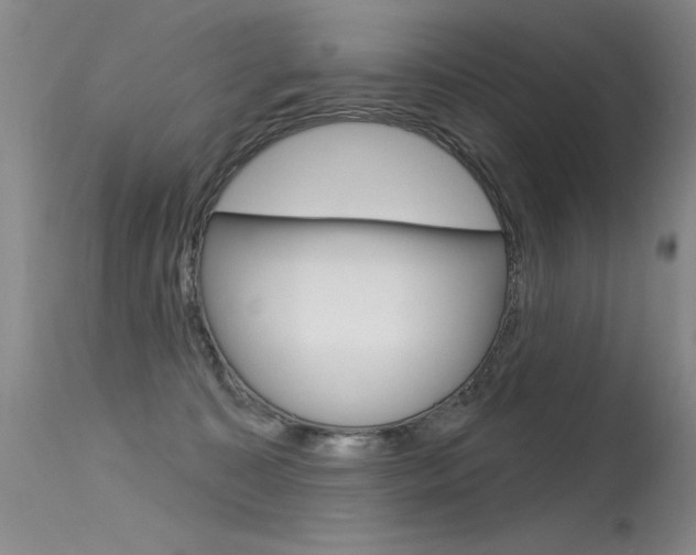 X0000115730323200911121131