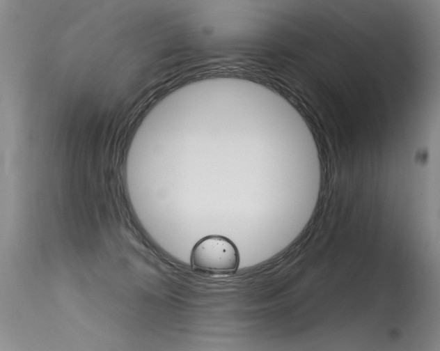 X0000115730324200911121131