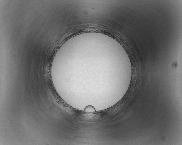 X0000115730326200911121131