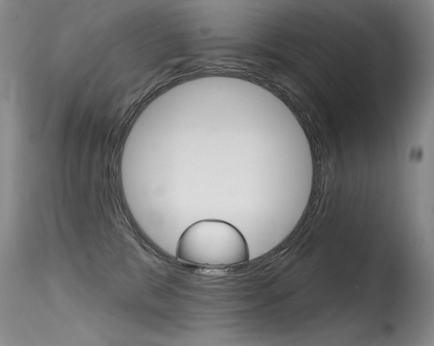 X0000115730327200911121131