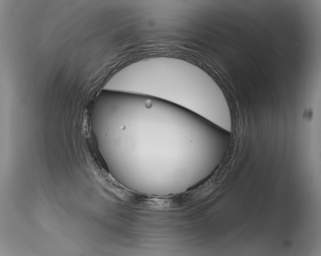 X0000115730328200911121131