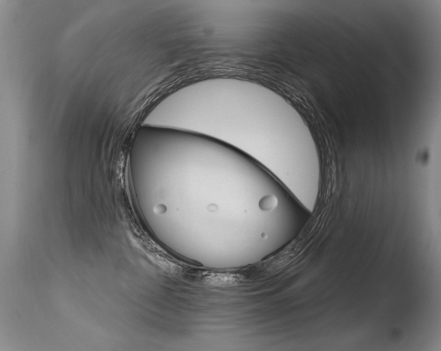 X0000115730332200911121131