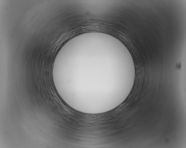 X0000115730333200911121131