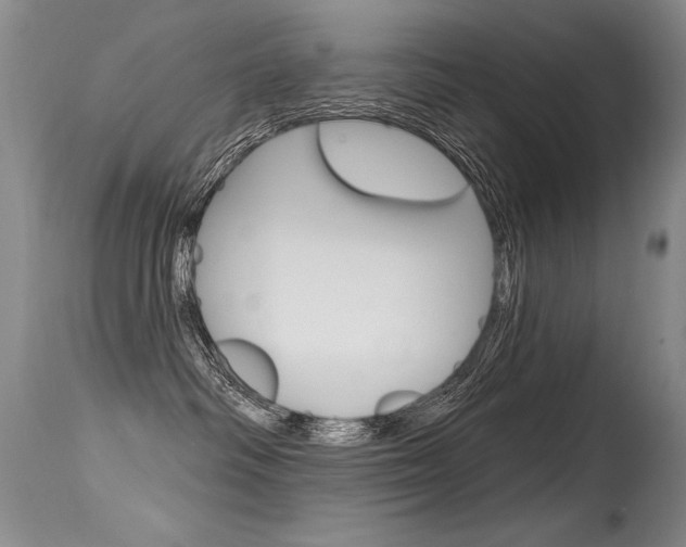 X0000115730334200911121131