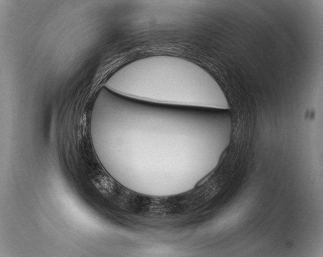 X0000115730335200911121131