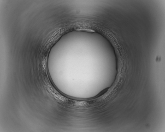 X0000115730336200911121131