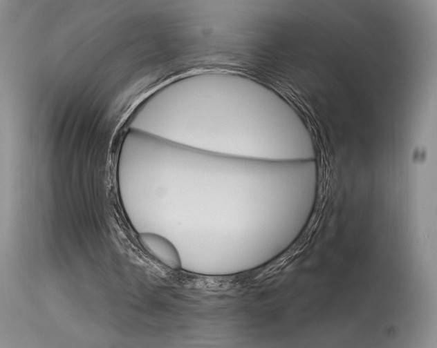 X0000115730338200911121130